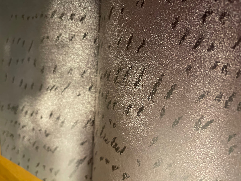 cropped (a̶n̶d̶ o̶r̶ i̶r̶r̶e̶l̶e̶v̶a̶n̶t̶ ) iii - limited edition zine (A NOISY MIND THEME)