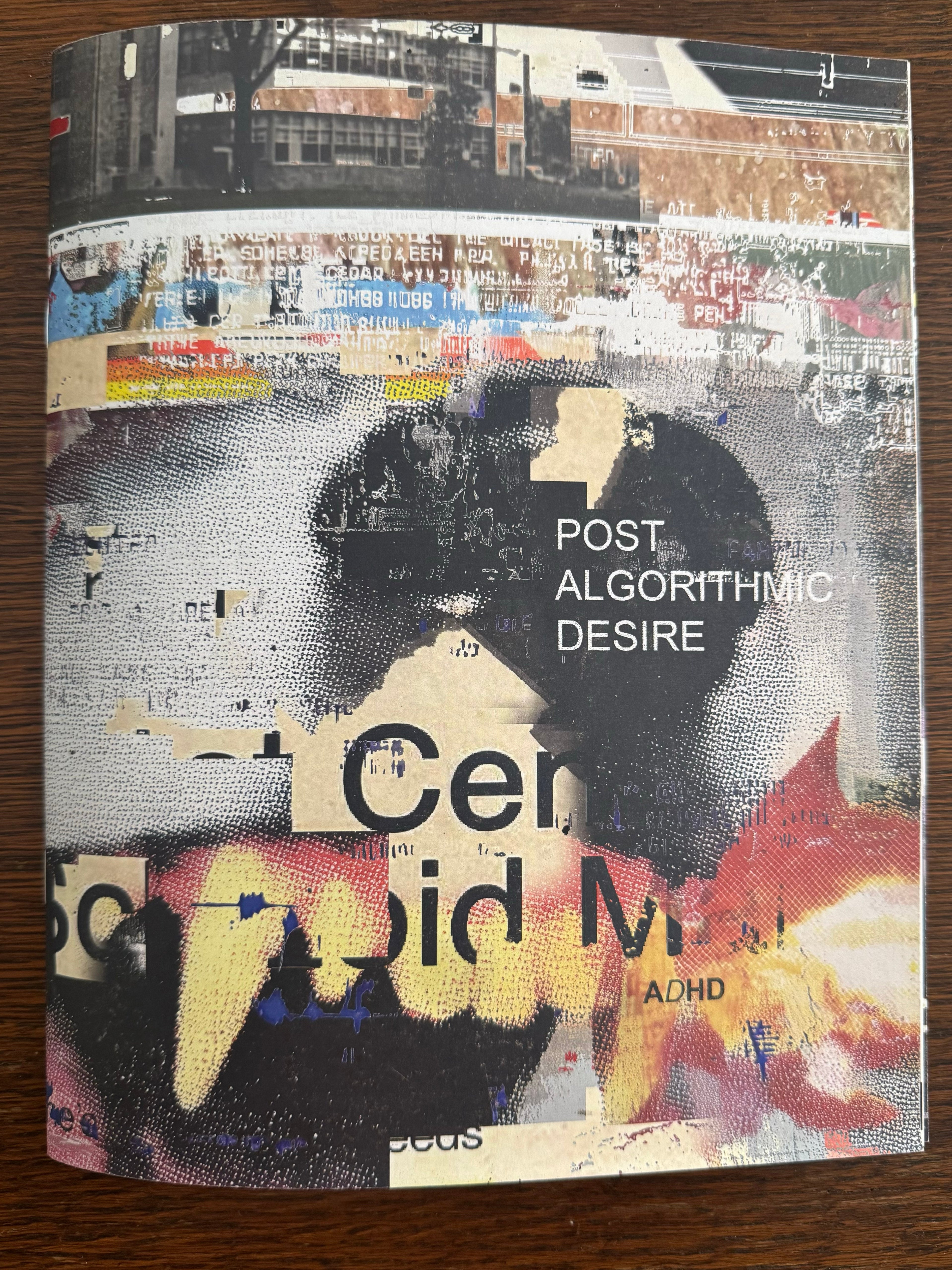 Post Algorithmic Desire Zine (2026)