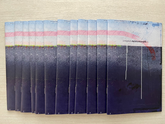 cropped (a̶n̶d̶ o̶r̶ i̶r̶r̶e̶l̶e̶v̶a̶n̶t̶ ) ii - limited edition zine